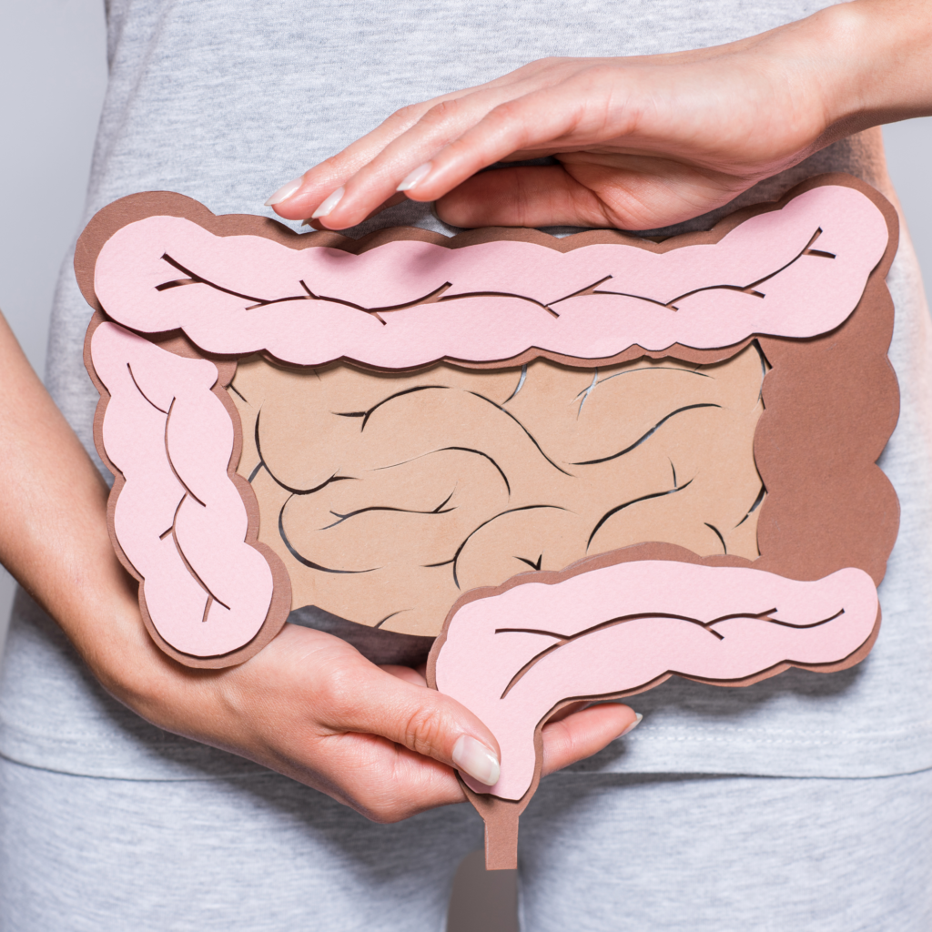 Design-sem-nome-2-1024x1024 Inflamação no intestino