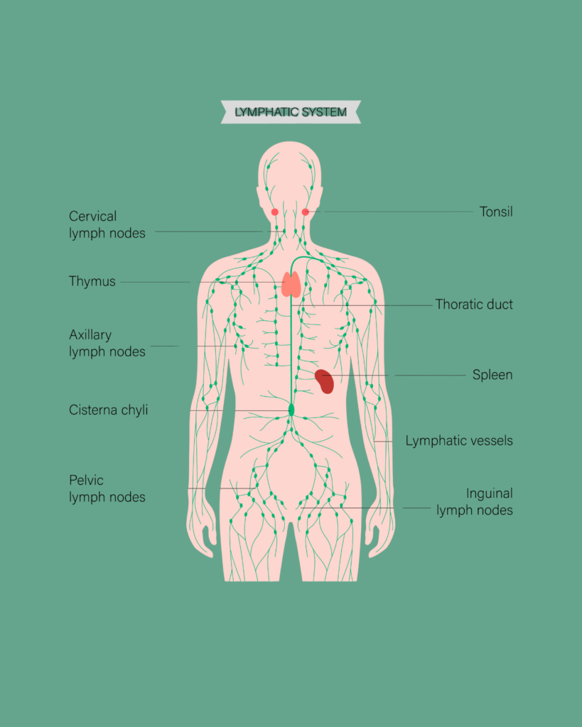 Design-sem-nome-819x1024 Como ativar os pontos linfáticos